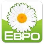 Экостандарт «Евро-4» не принес ожидаемых результатов