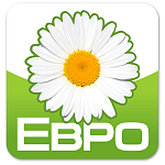 Экостандарт «Евро-4» не принес ожидаемых результатов